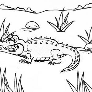 Awesome Crocodile Coloring Pages