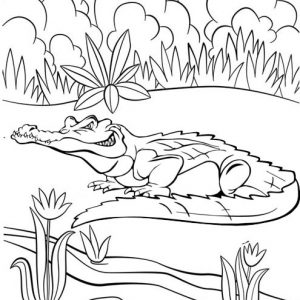 Best Crocodile Coloring Page