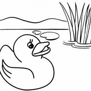 Cute and Funny Duck Cartoon Coloring Page