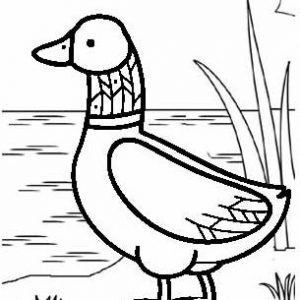 Daddy Duck Coloring Page for Kids