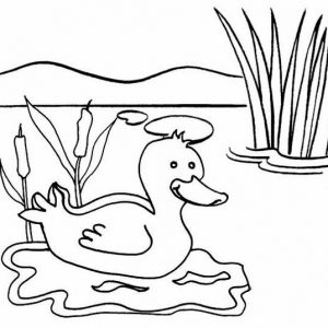Daddy Duck Swimming Coloring Page