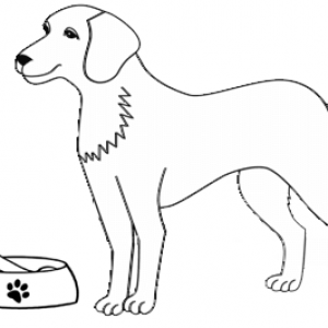 Dog getting near to food coloring page
