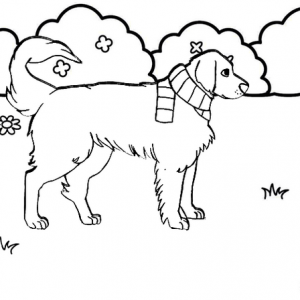 Dog walking on the yard coloring page