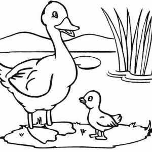 Duck and Baby Swamp Coloring Page