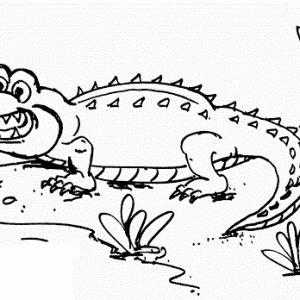 Stunning Crocodile Cartoon Coloring Page