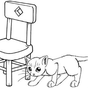 Cat Friendly Home Coloring Page