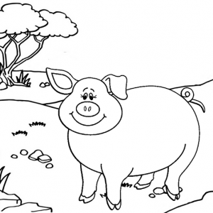 Cute and Beautiful Pig Coloring Page for Kids