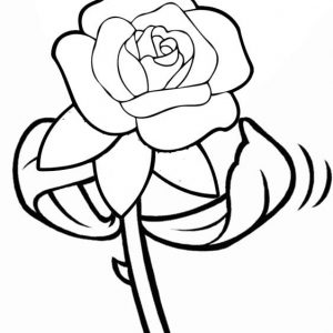 Rose silk coloring page from Nindy