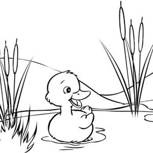 Baby Duck Cartoon Swimming Coloring Page