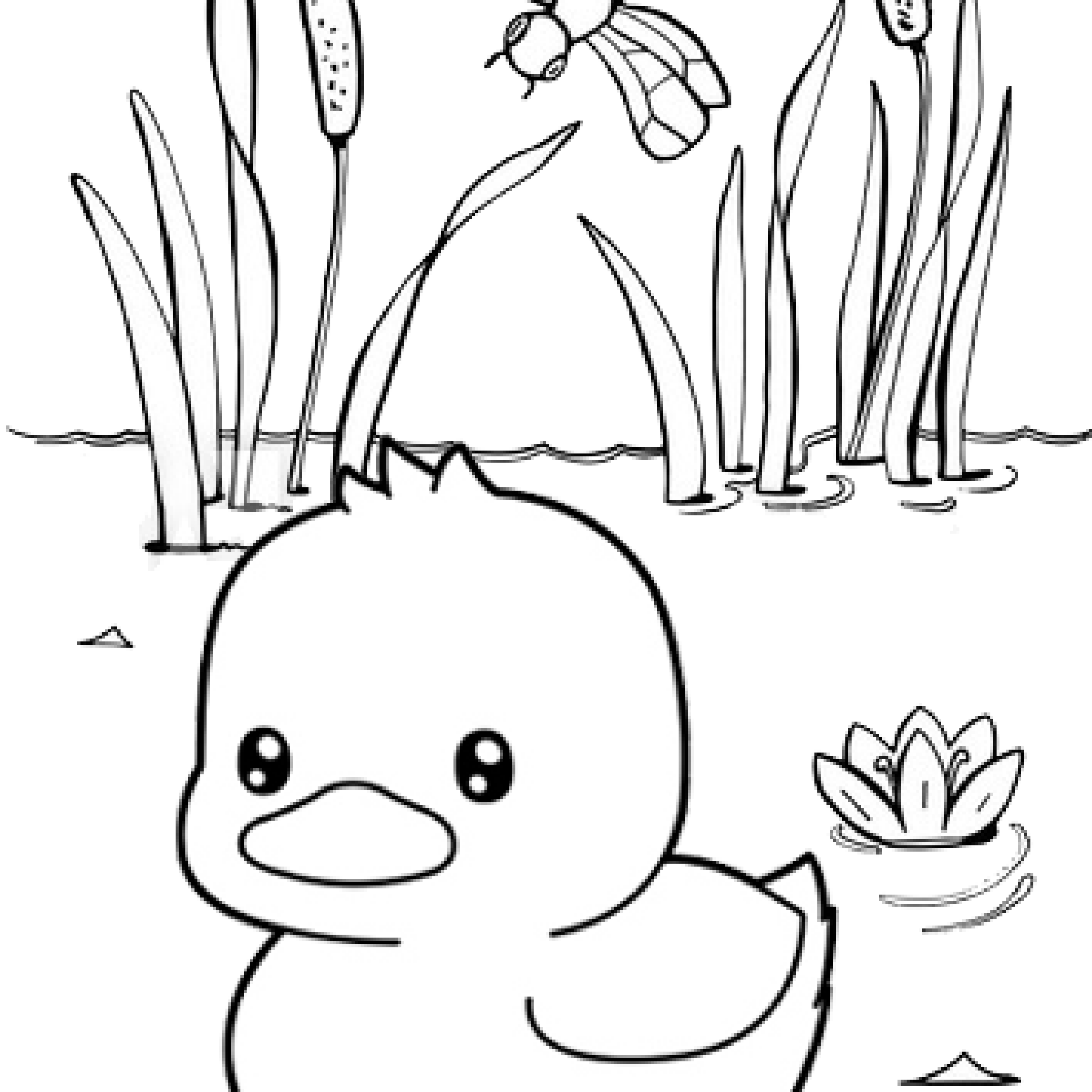 Fancy Baby Duck Cartoon Coloring Page Mitraland