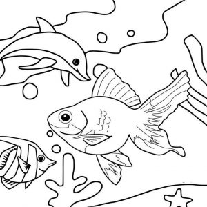 Sea Life Fish Coloring Page for Kids