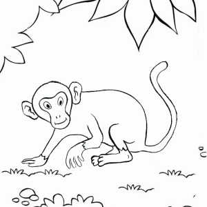 Monkey in the Middle of Forest Coloring Page