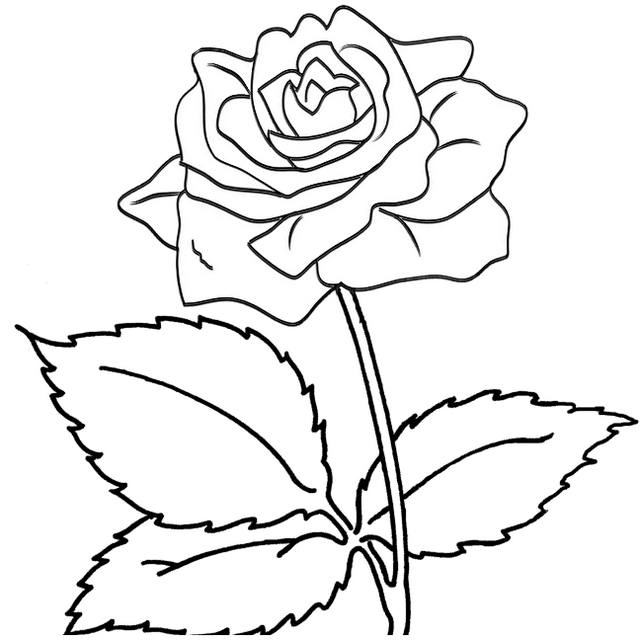 Rose Coloring Page Art Project - Mitraland