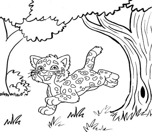 6 Popular Jaguar Coloring Pages, You can Try with the Kids! - Mitraland
