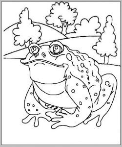 Frog Toad Coloring Page